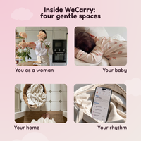 WeCarry — First Year Support System