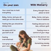 WeCarry — First Year Support System
