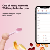 WeCarry — First Year Support System